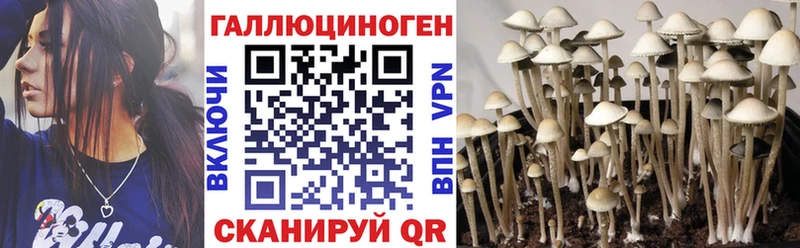 где купить наркоту  Борисоглебск  Псилоцибиновые грибы ЛСД 